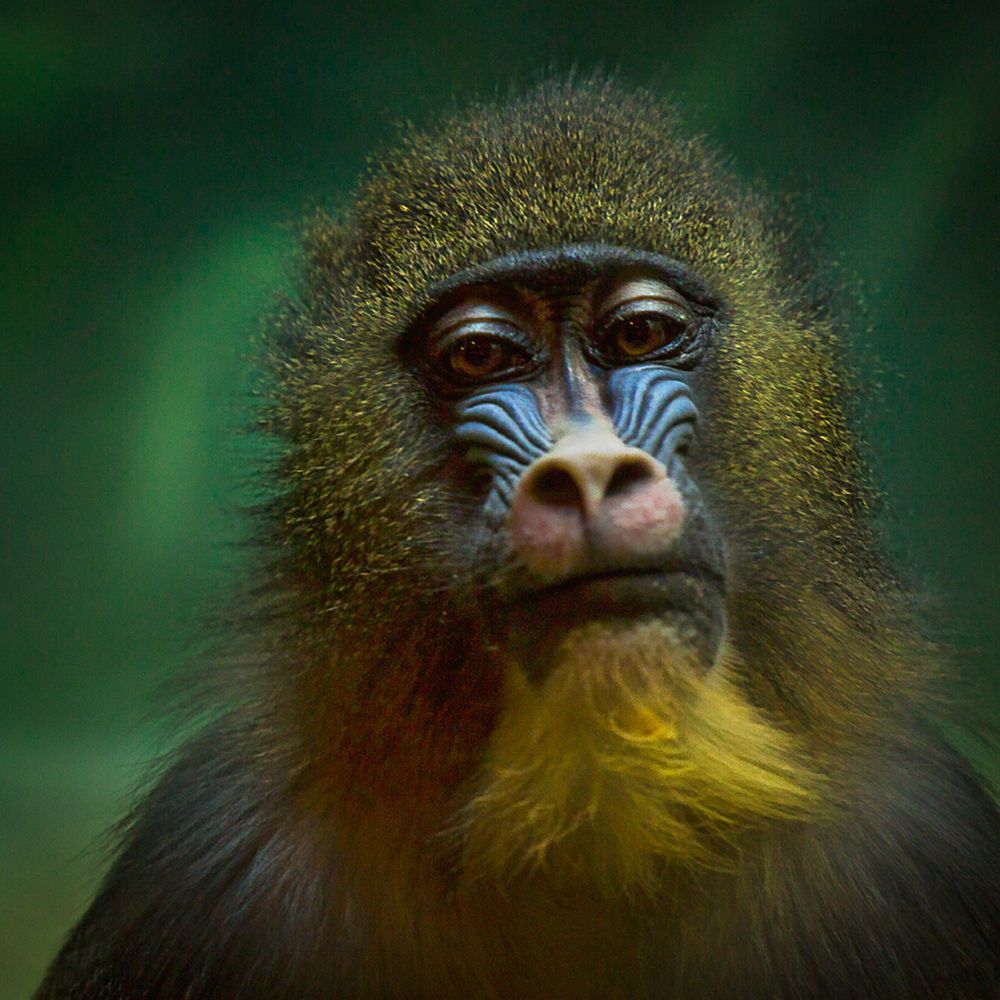 Photograph by Владимир Остапенко