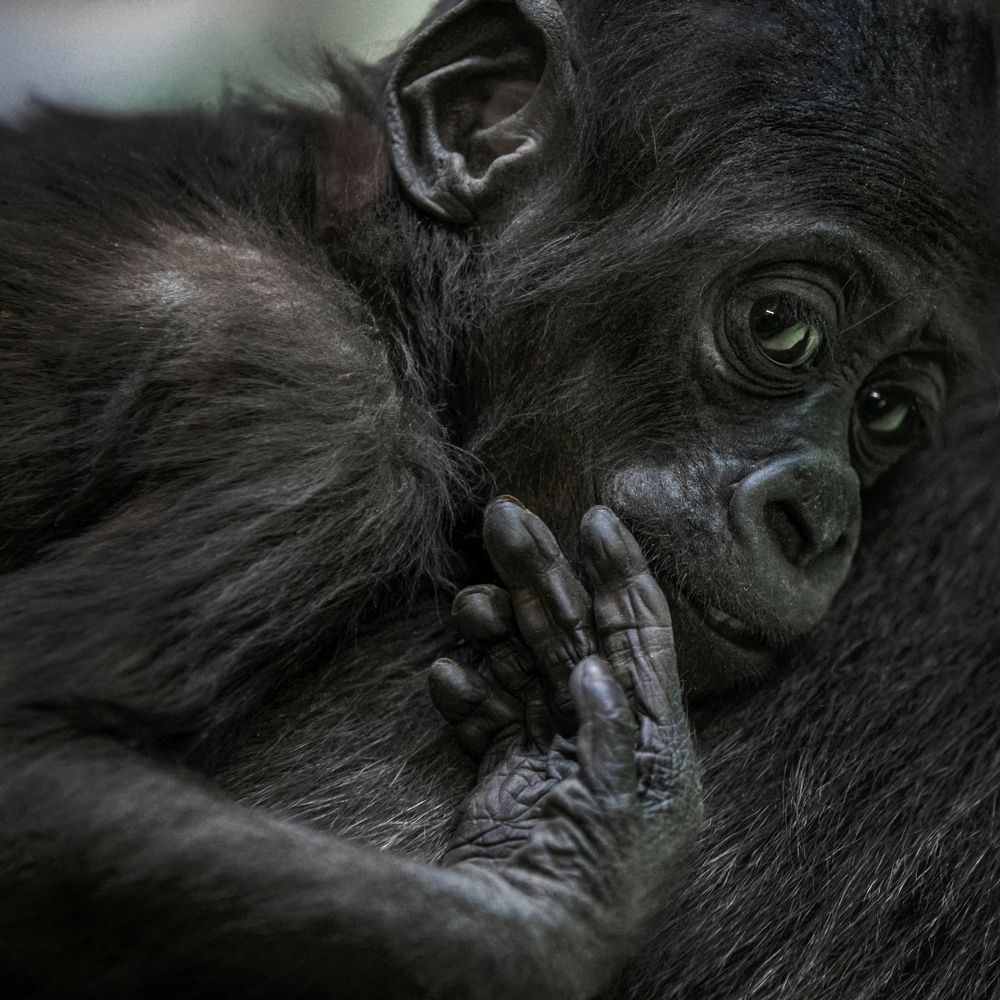 Photograph by Владимир Остапенко