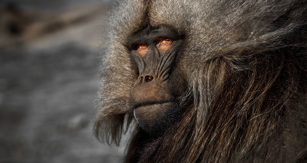 Photograph by Александр Гиль