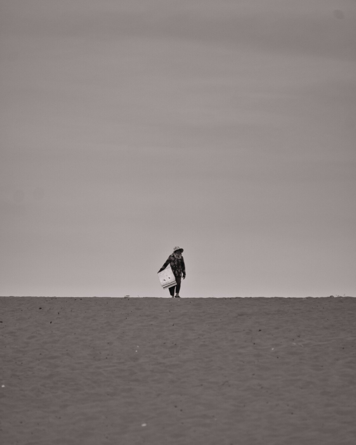 Photo #11715076