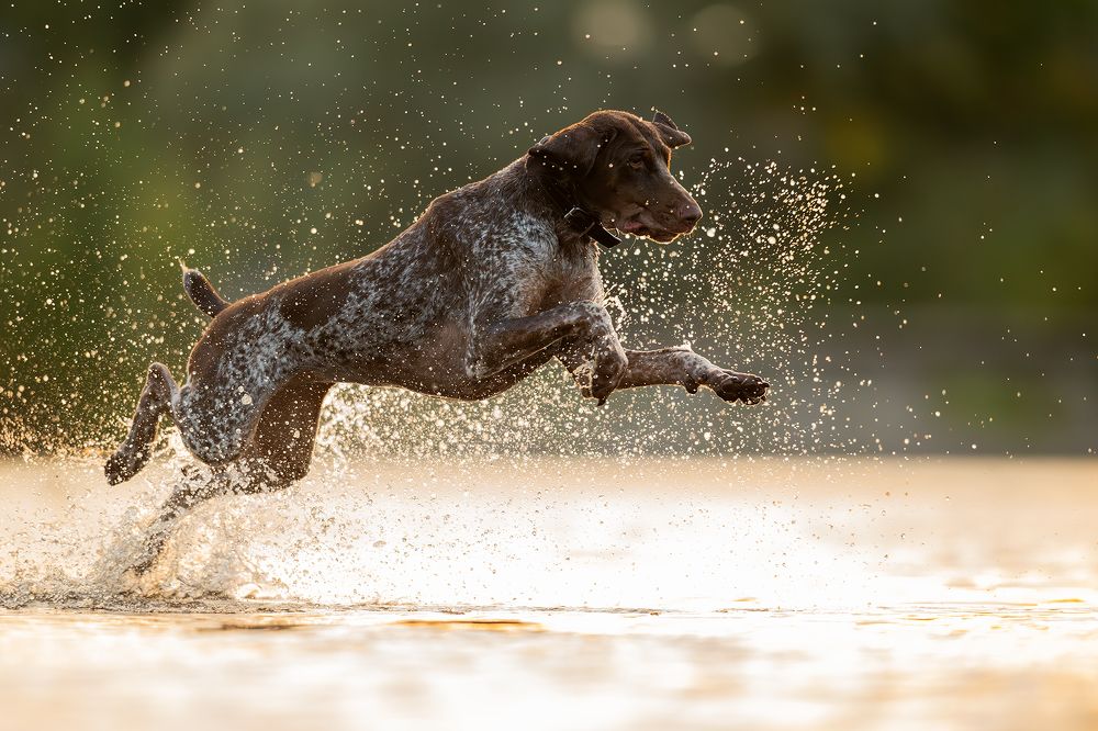 Photograph by Калинин Михаил