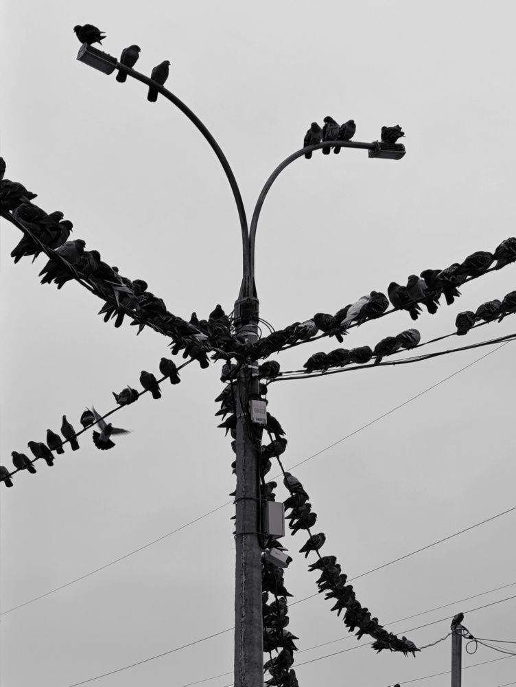 Photograph by Владимир Ковжаров