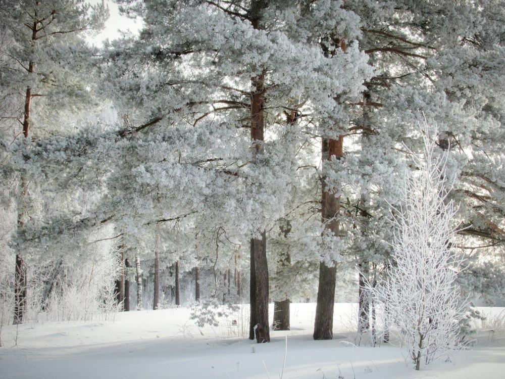 Photograph by Екатерина Салий