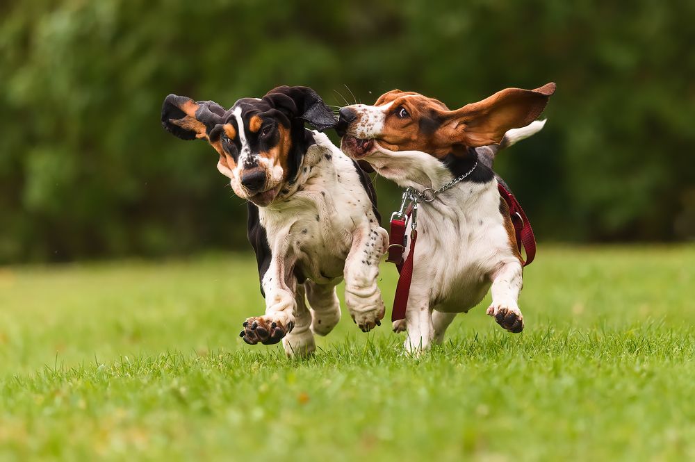 Photograph by Калинин Михаил