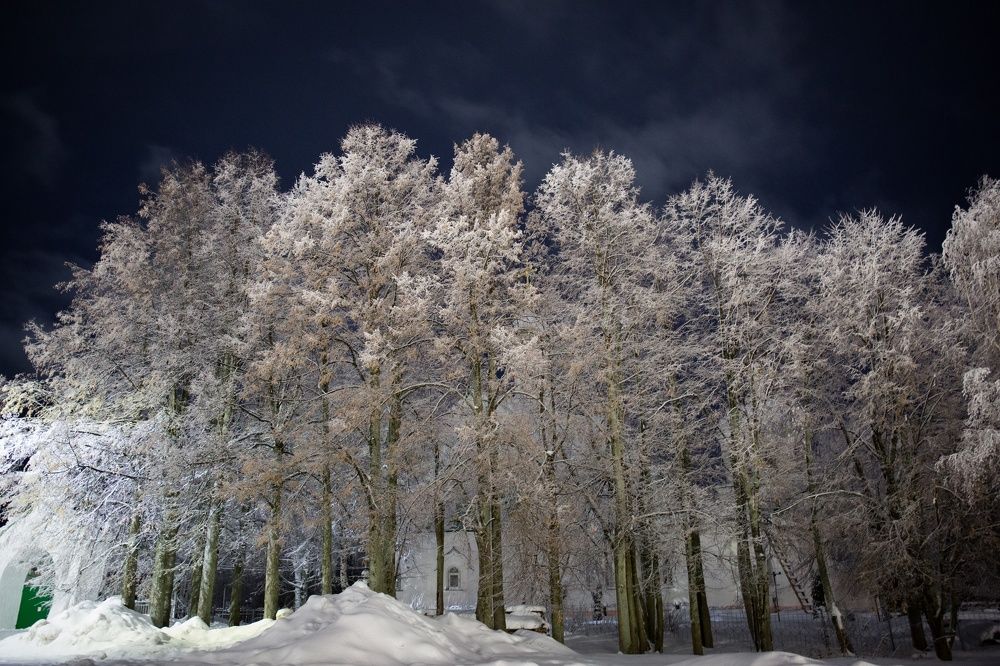 Photograph by Ольга Мойсеева