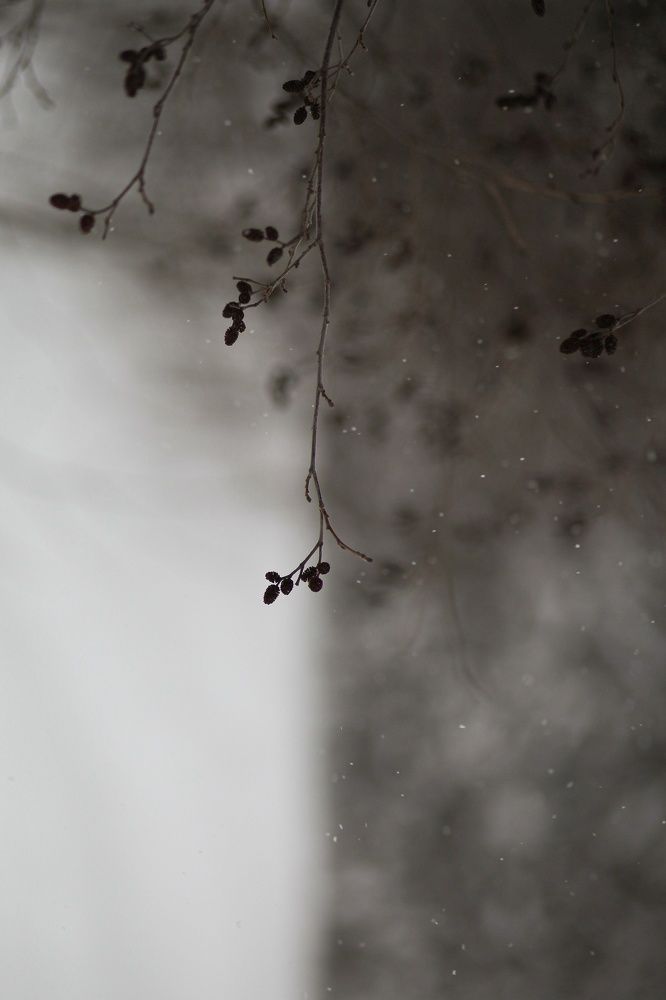 Photograph by Ольга Мойсеева