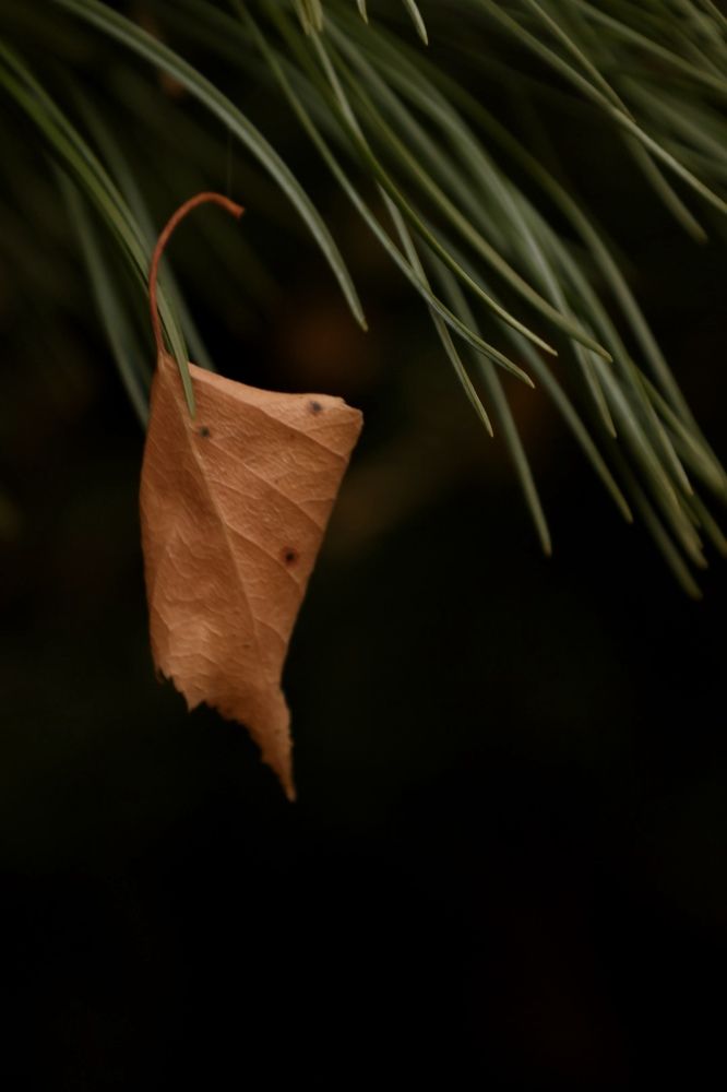 Photograph by Татьяна Смирнова