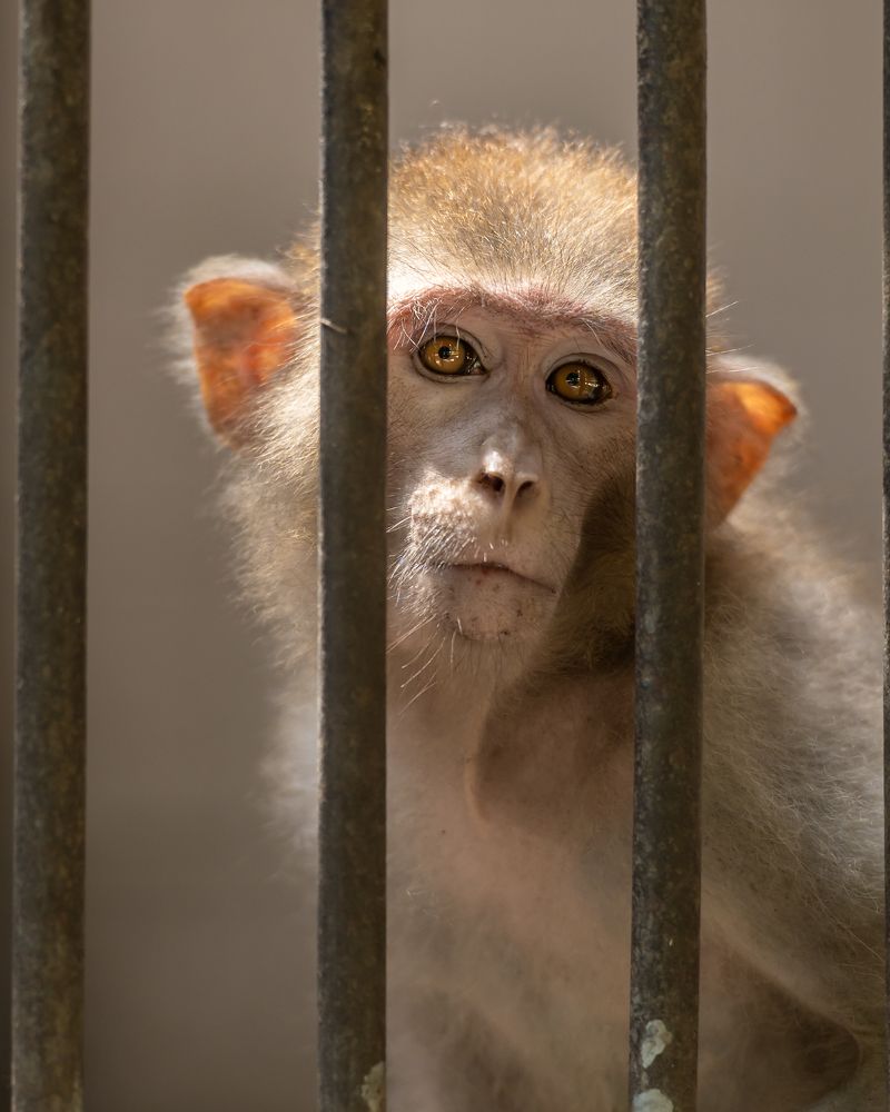 Photograph by Jamal Uddin