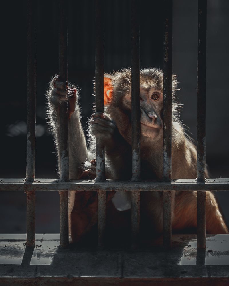 Photograph by Jamal Uddin