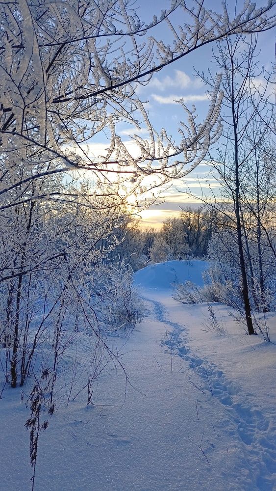 Photograph by Олеся Лосыгина