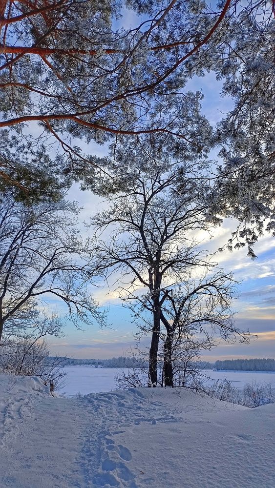 Photograph by Олеся Лосыгина