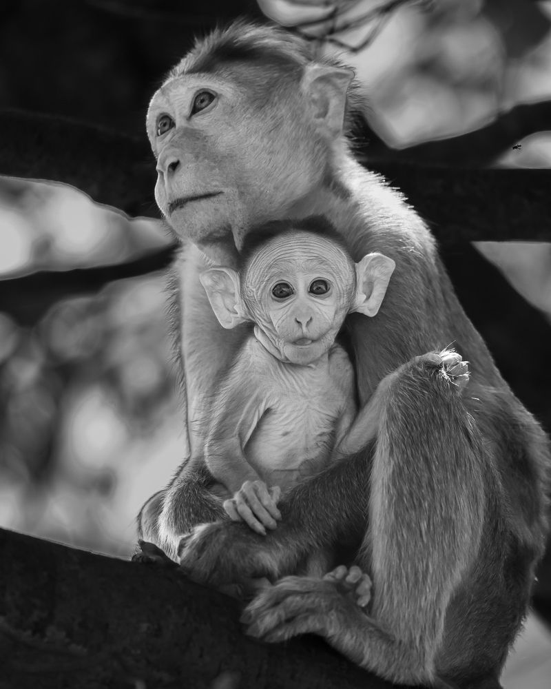 Photograph by Vinayak Naik