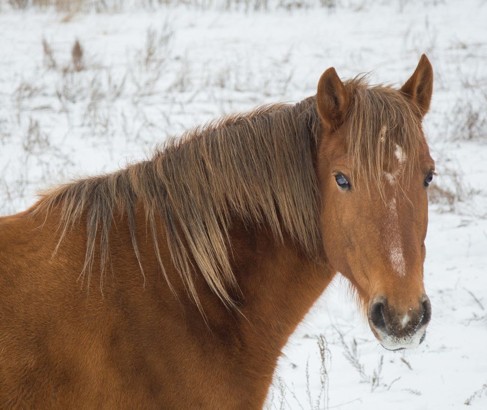 Photograph by Александр Халимов