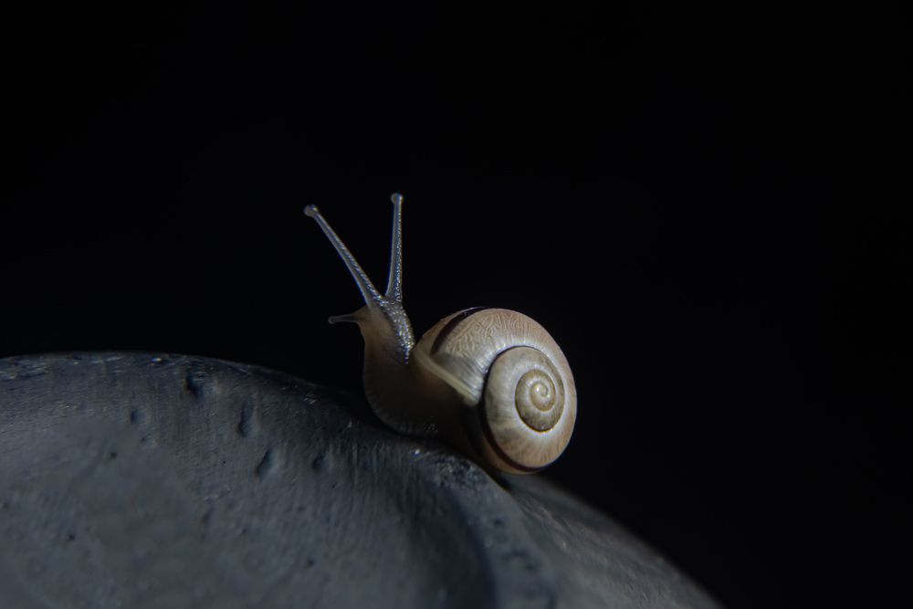 Photograph by Nikolay Isaakov