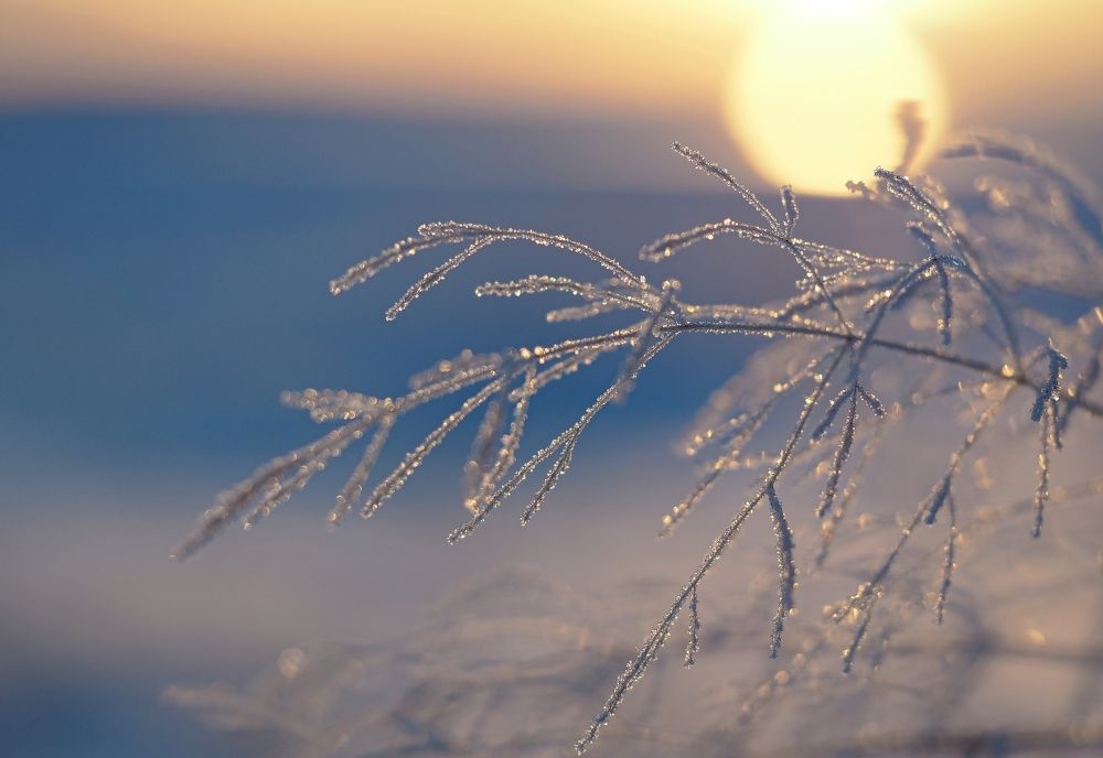 Photograph by Евгений Яковлев