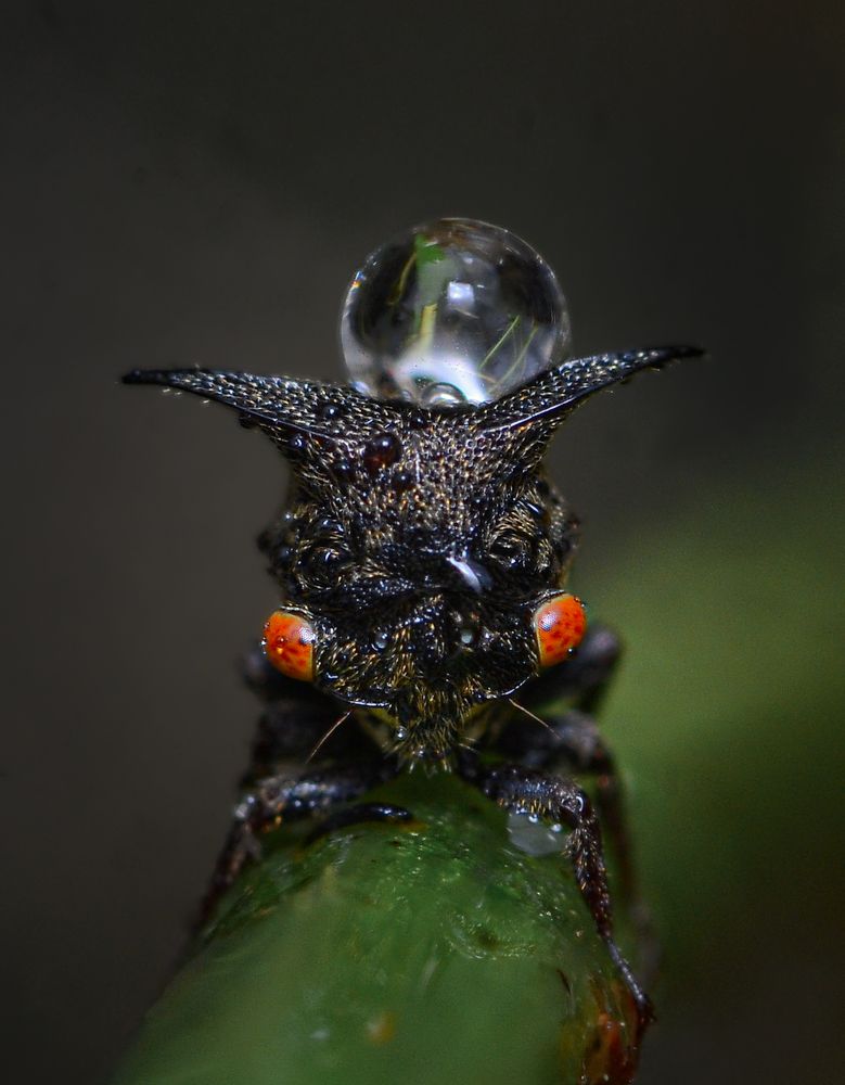 Photograph by Kasun Wickramasinghe