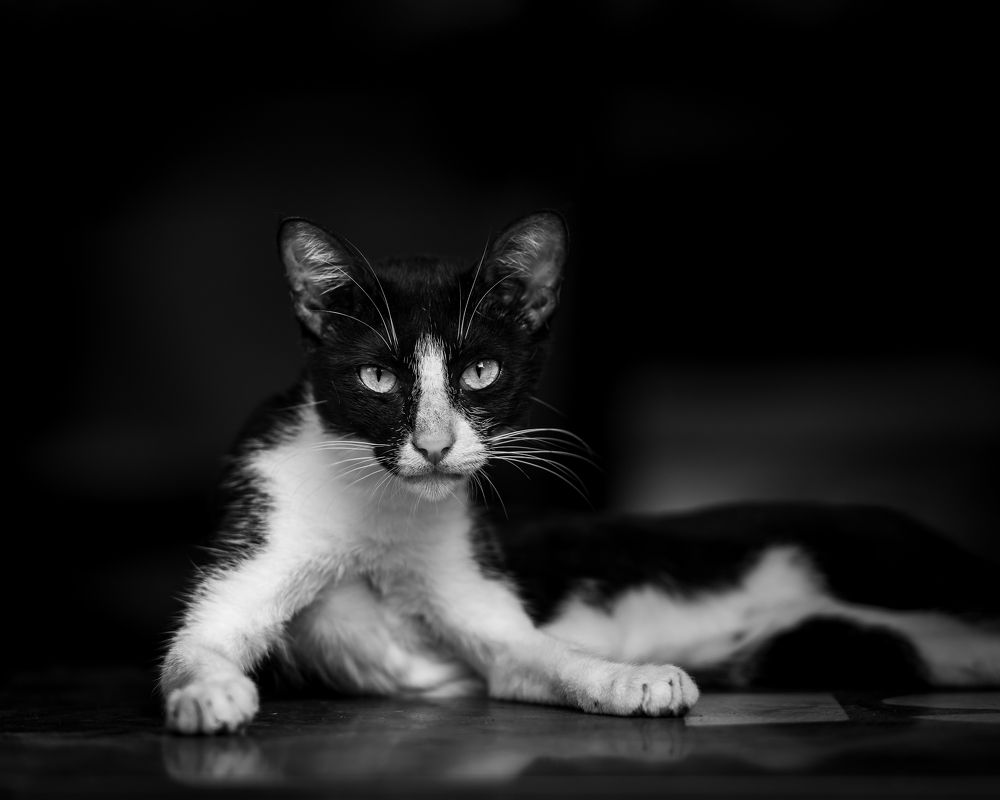 Photograph by Jamal Uddin