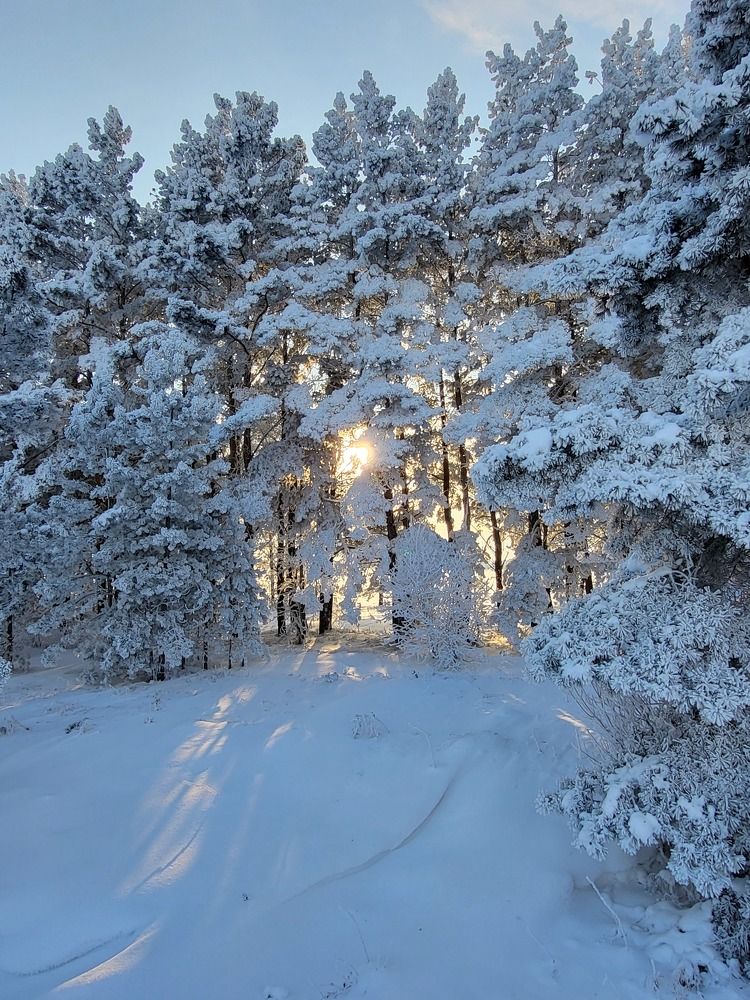 Photograph by Svetlana Korogod