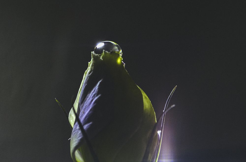 Photograph by Катерина Сорокина