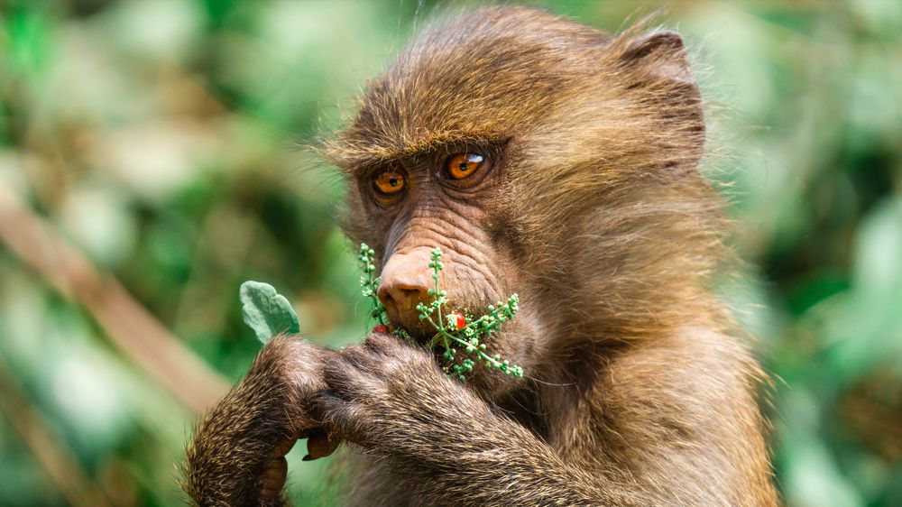 Photograph by Khazov Artem