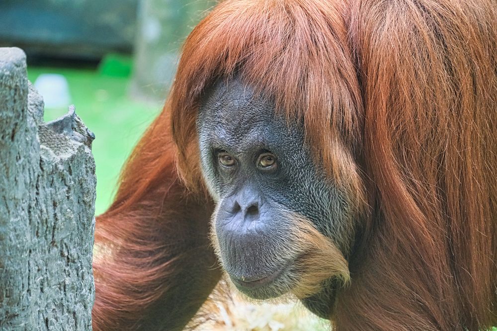 Photograph by Ильдар Балеев