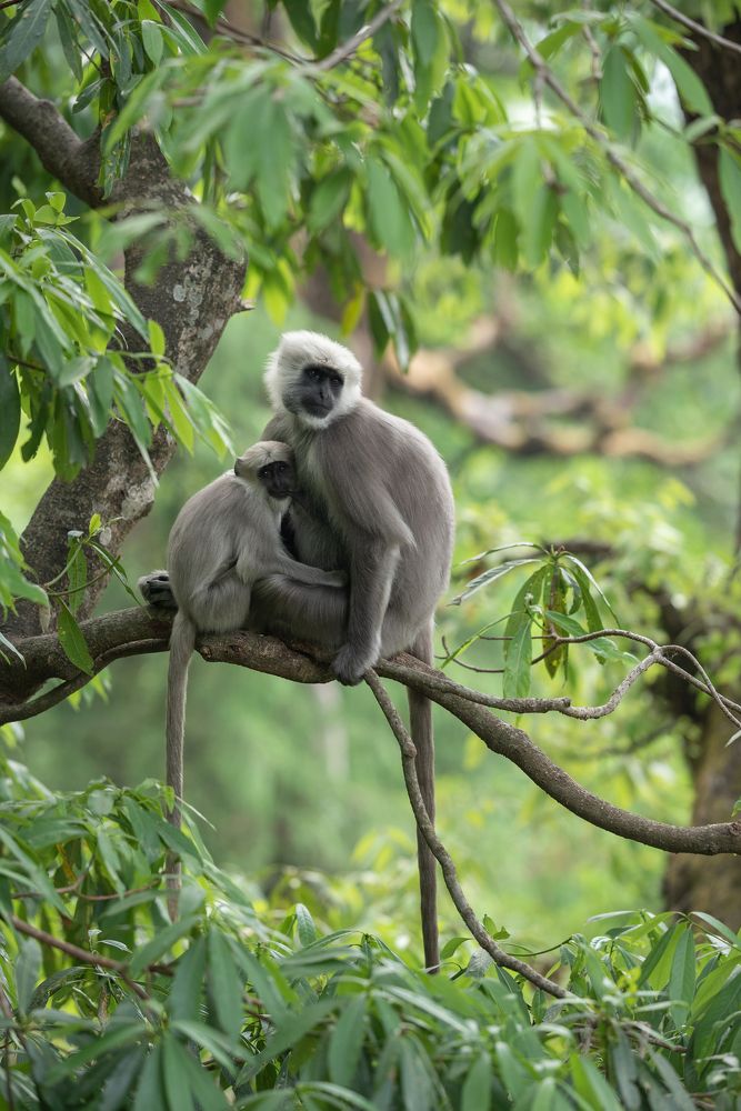 Photograph by Людмила Кириллова