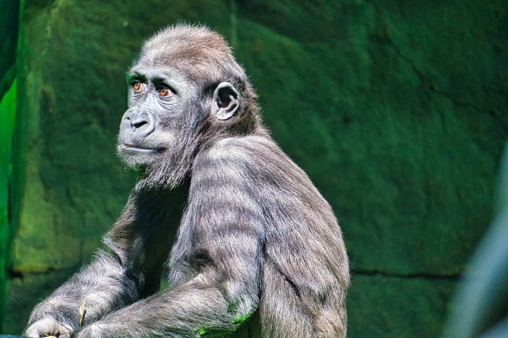 Photograph by Ильдар Балеев