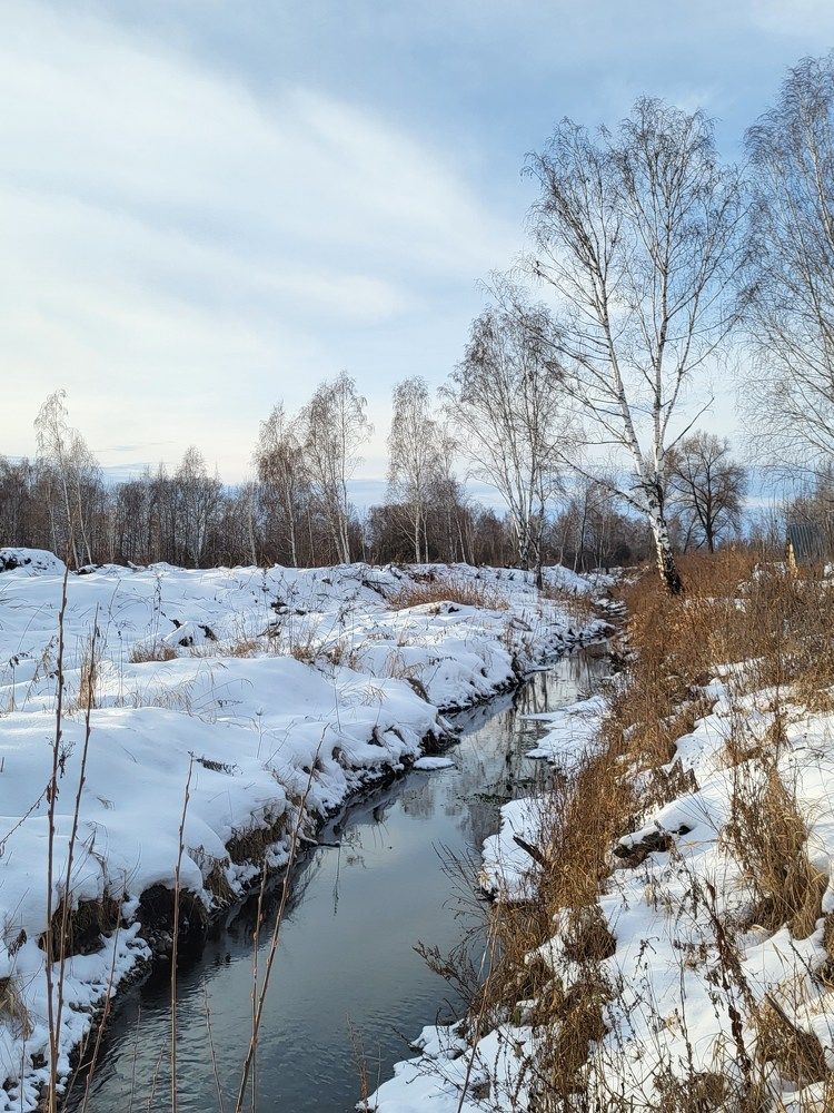 Photograph by Svetlana Korogod
