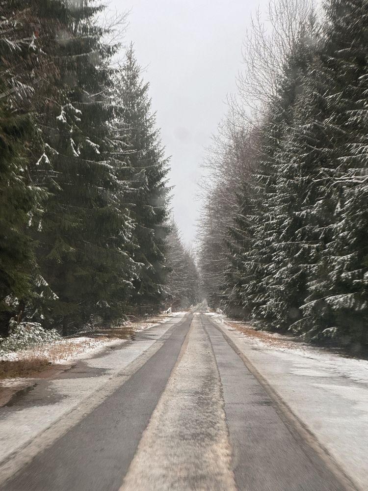 Photograph by Галина Махонь