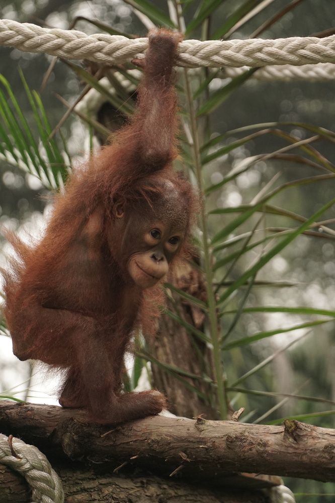 Photograph by Chilmi Muhammad