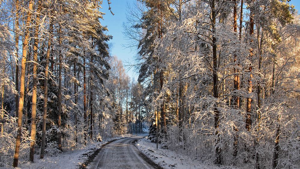 Замри мгновенье!
