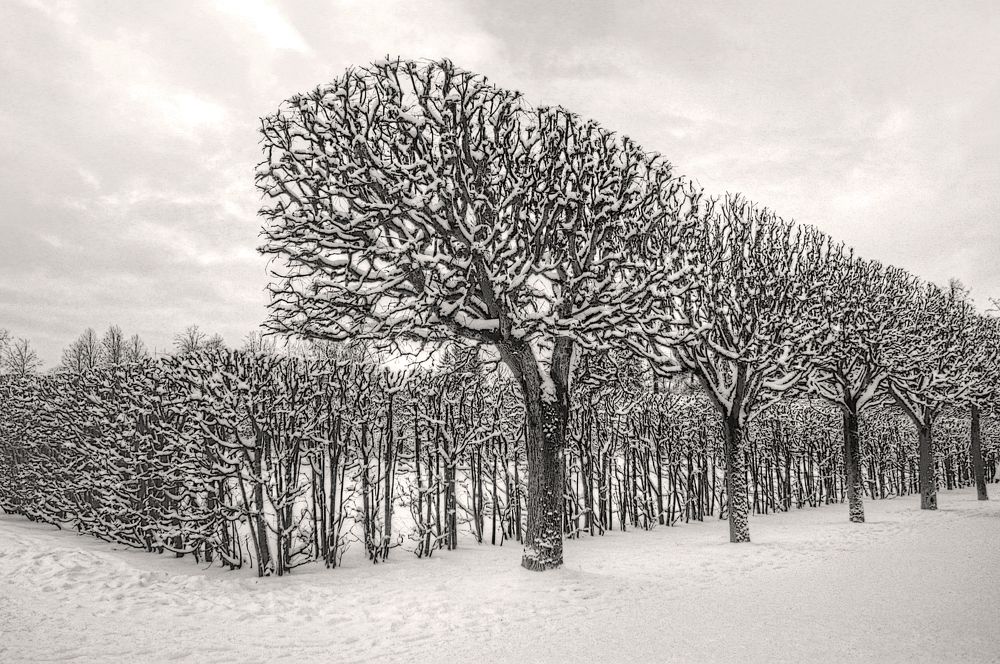 Photograph by Сергей Григорьев