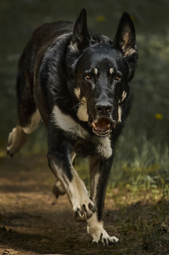 Photograph by Татьяна Полянская