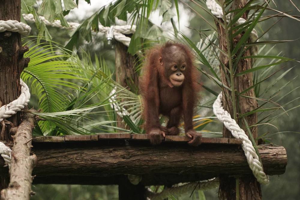 Photograph by Chilmi Muhammad