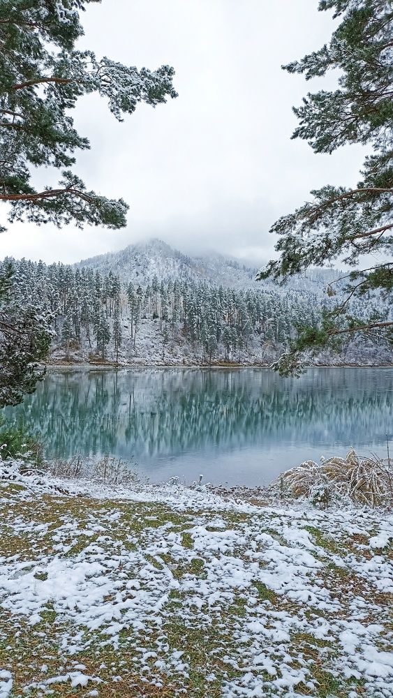 Photograph by Олеся Лосыгина