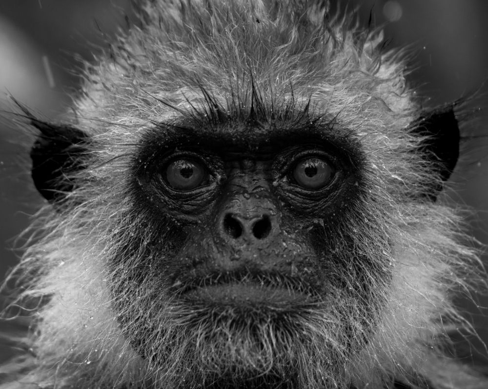 Photograph by Easa Lebbe Muhammed Jamsith