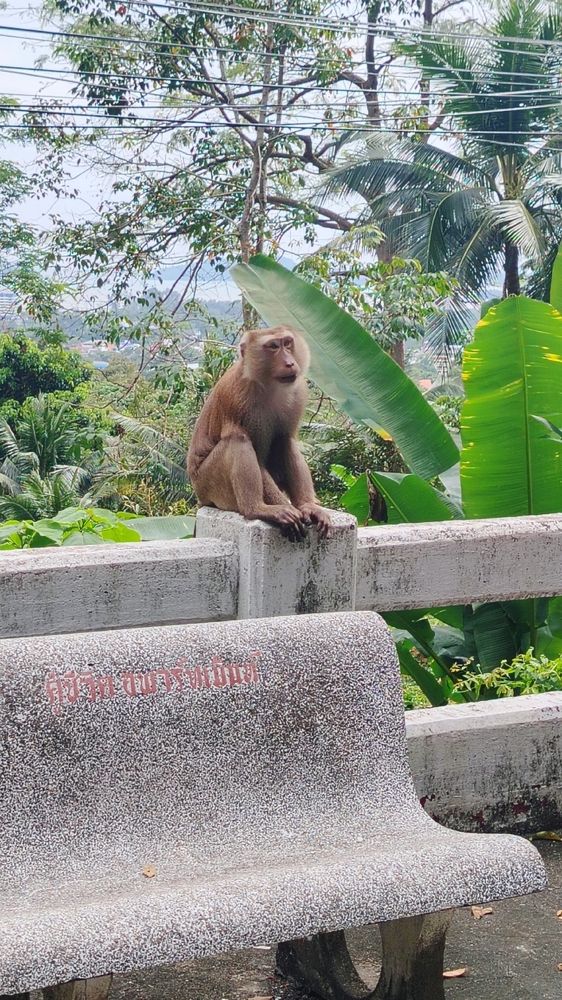 Фотография автора Анна Морозова