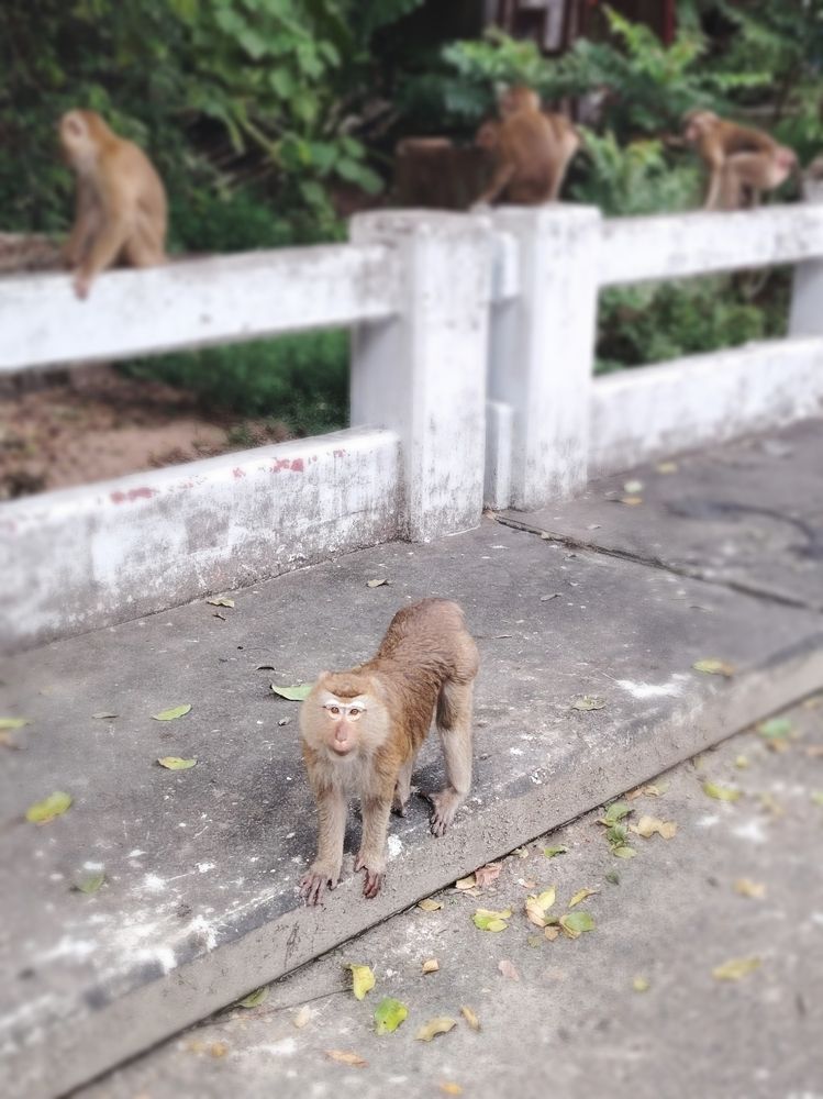 Фотография автора Анна Морозова