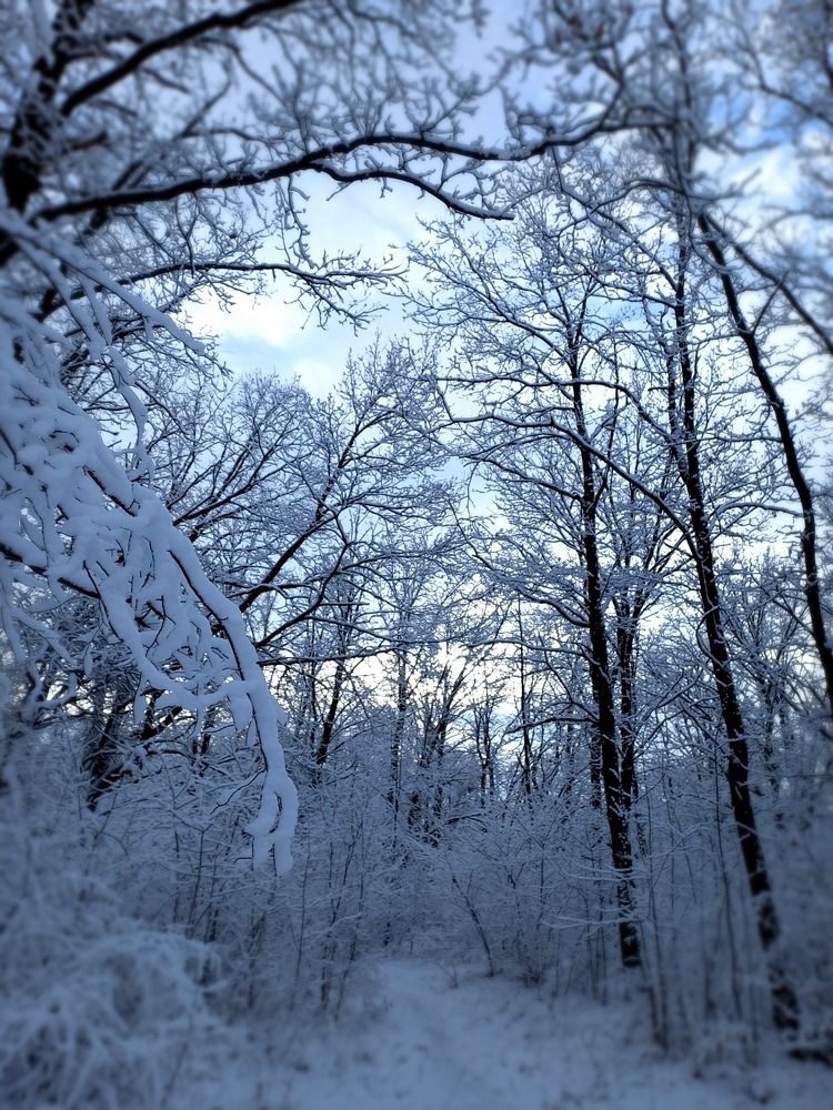 Photograph by Людмила Сотникова