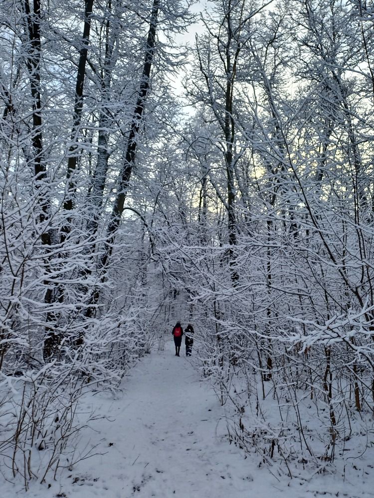 Photograph by Людмила Сотникова
