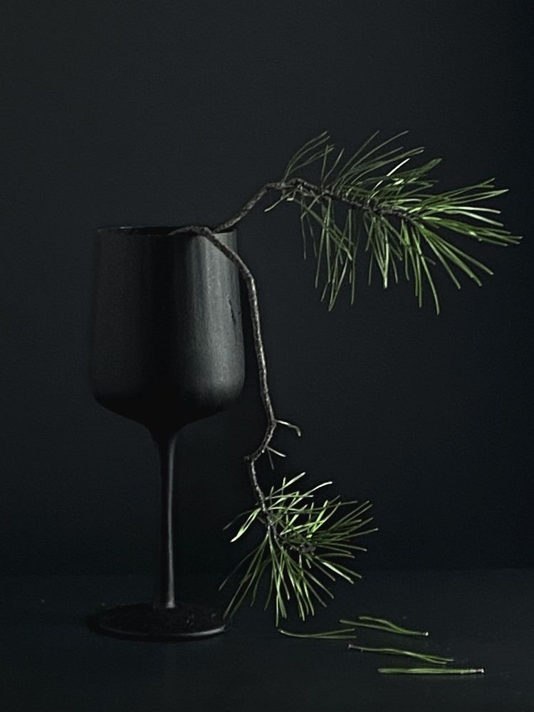 Photograph by Vera Romanova