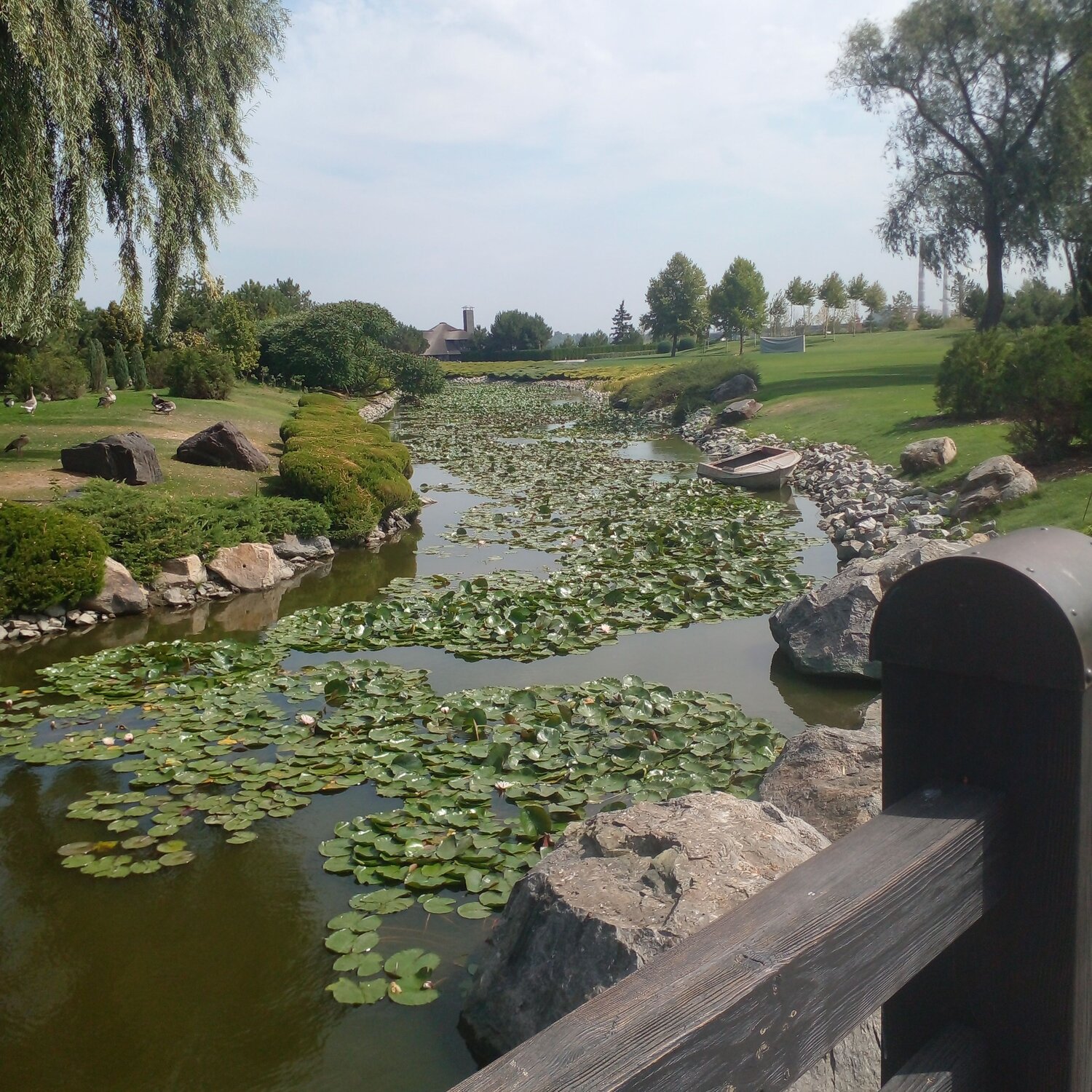 Photo #11715595