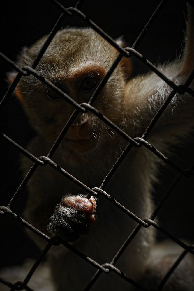 Фотография автора Olga Shchetinina