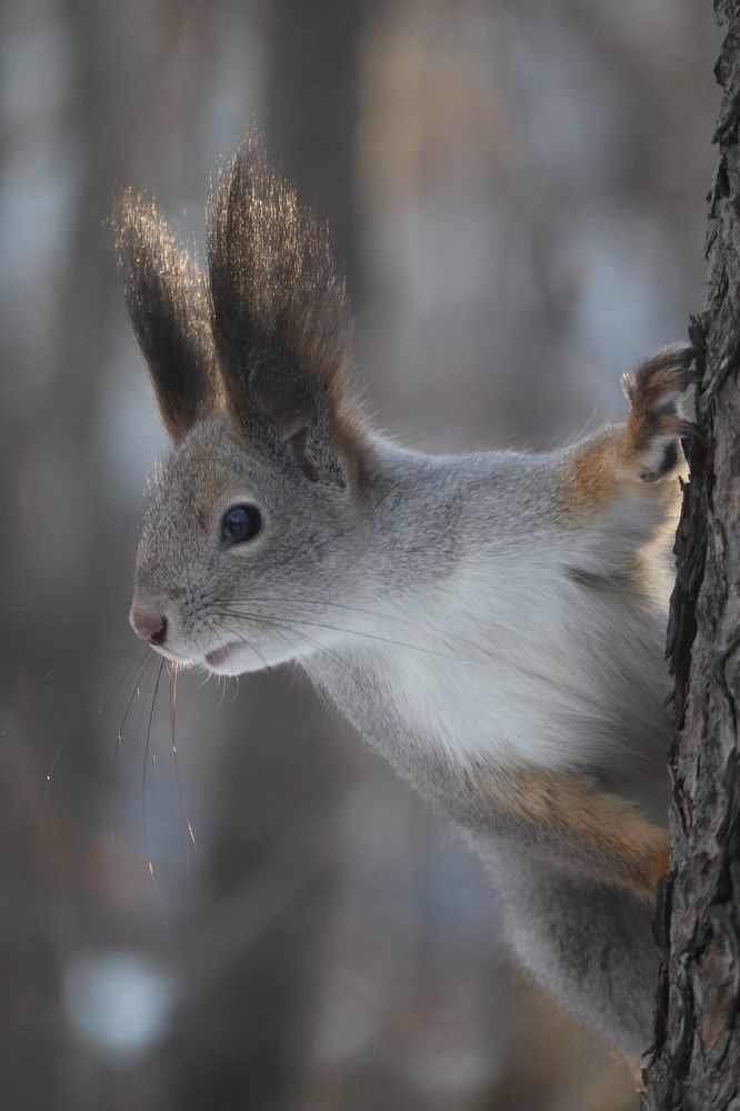 Photograph by Мария Глухова