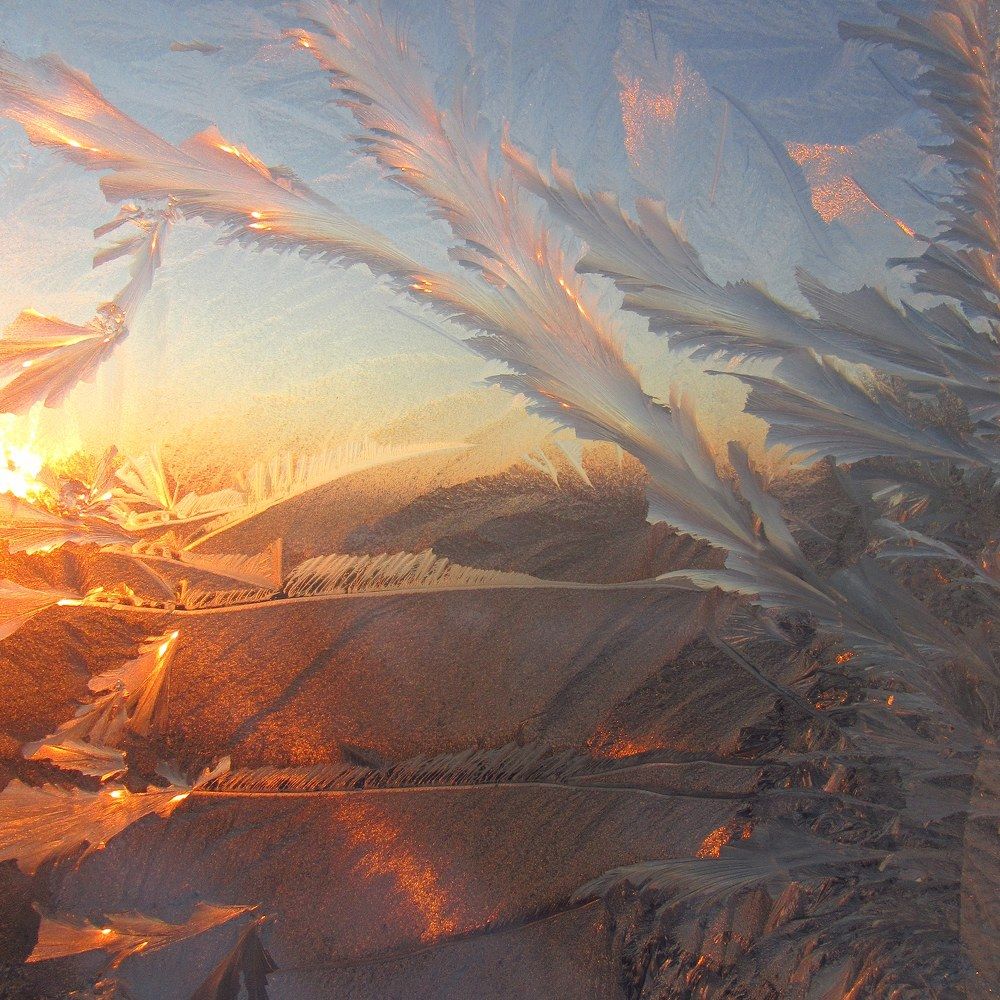 Photograph by Смирнов Сергей