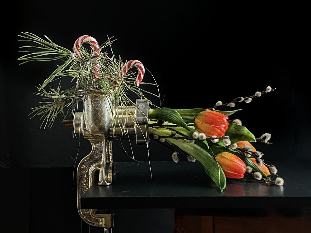 Photograph by Vera Romanova