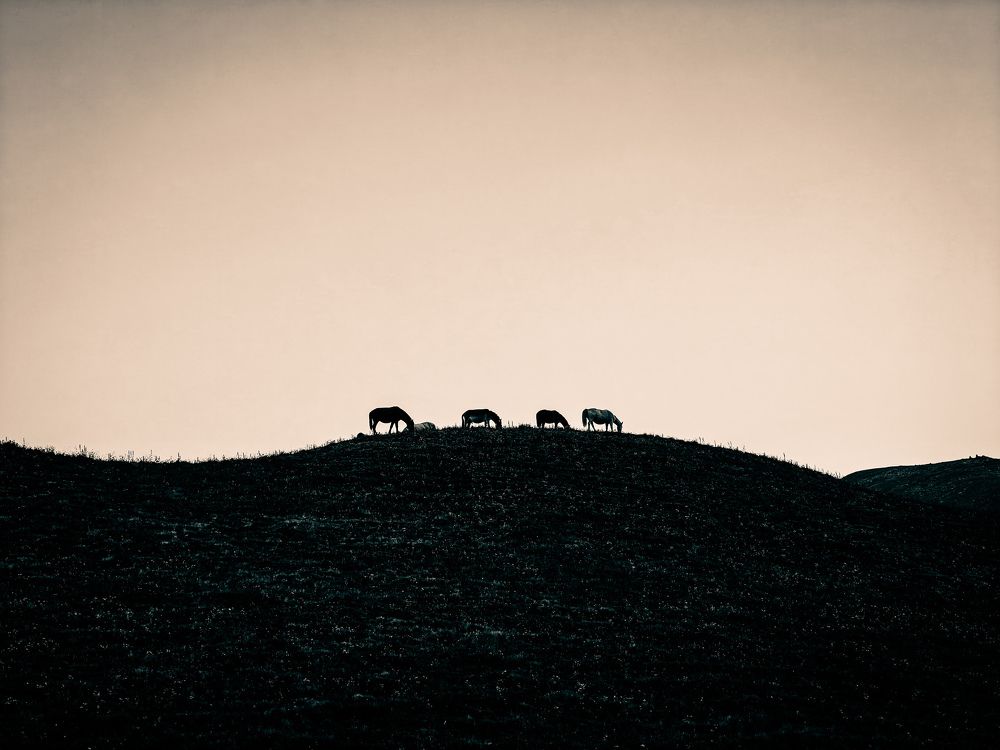 Photograph by Pritam Majumder