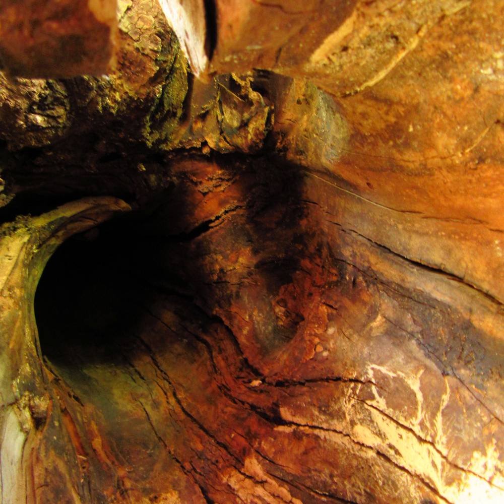 Чёрная дыра.(Реплика)