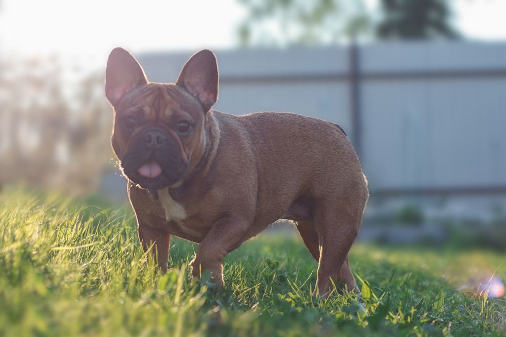 Photograph by Стрижаченко Инга