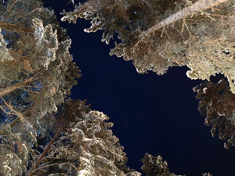 Photograph by Игорь Крыжко